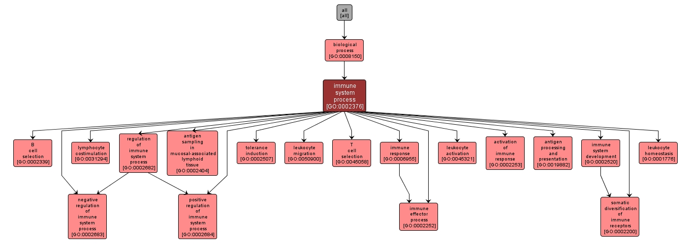 GO:0002376 - immune system process (interactive image map)