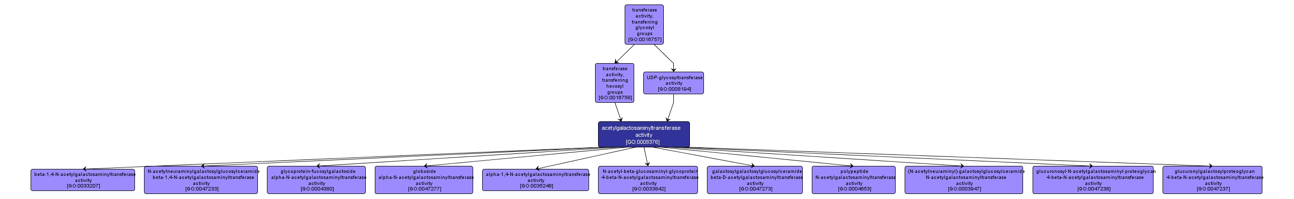 GO:0008376 - acetylgalactosaminyltransferase activity (interactive image map)