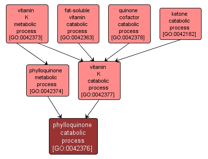 GO:0042376 - phylloquinone catabolic process (interactive image map)