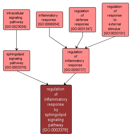 GO:0003378 - regulation of inflammatory response by sphingolipid signaling pathway (interactive image map)