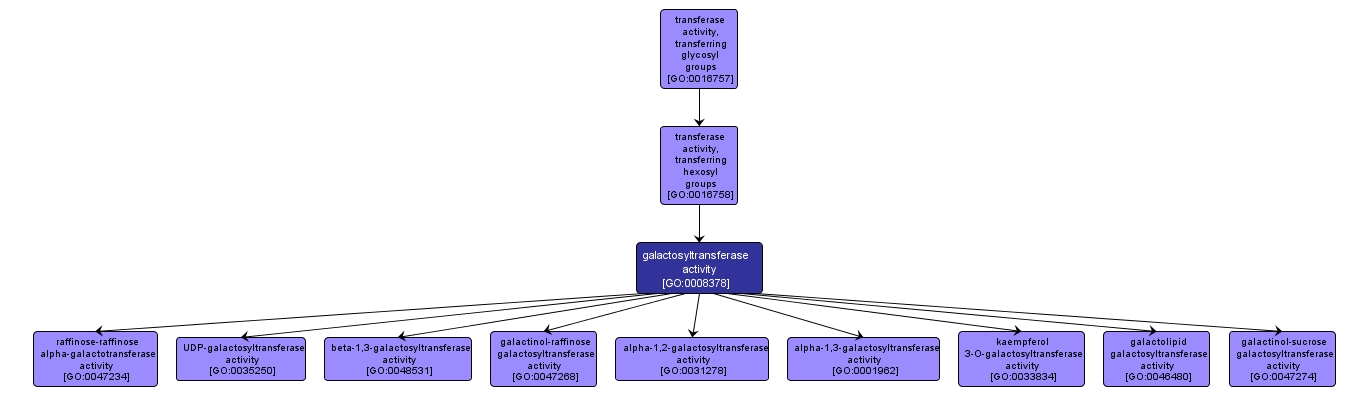 GO:0008378 - galactosyltransferase activity (interactive image map)