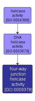 GO:0009378 - four-way junction helicase activity (interactive image map)