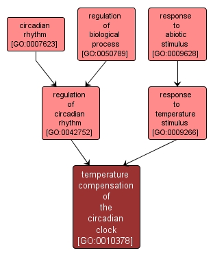 GO:0010378 - temperature compensation of the circadian clock (interactive image map)