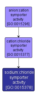 GO:0015378 - sodium:chloride symporter activity (interactive image map)