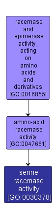 GO:0030378 - serine racemase activity (interactive image map)