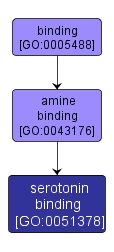 GO:0051378 - serotonin binding (interactive image map)