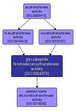 GO:0004379 - glycylpeptide N-tetradecanoyltransferase activity (interactive image map)