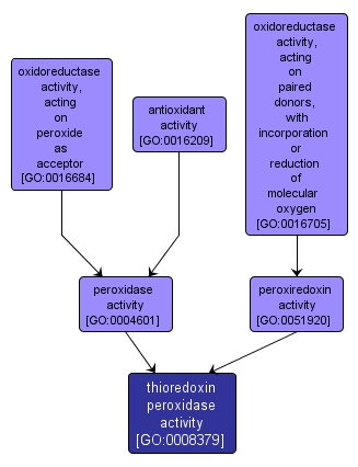 GO:0008379 - thioredoxin peroxidase activity (interactive image map)