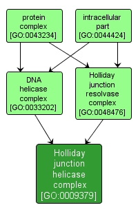 GO:0009379 - Holliday junction helicase complex (interactive image map)