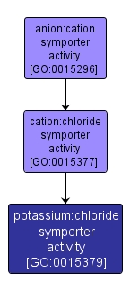 GO:0015379 - potassium:chloride symporter activity (interactive image map)