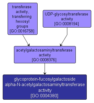 GO:0004380 - glycoprotein-fucosylgalactoside alpha-N-acetylgalactosaminyltransferase activity (interactive image map)