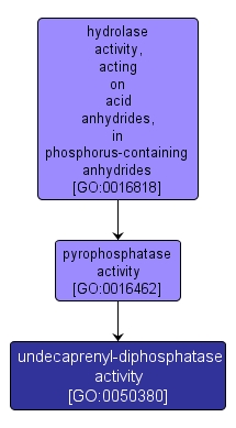 GO:0050380 - undecaprenyl-diphosphatase activity (interactive image map)