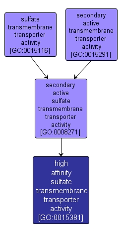GO:0015381 - high affinity sulfate transmembrane transporter activity (interactive image map)