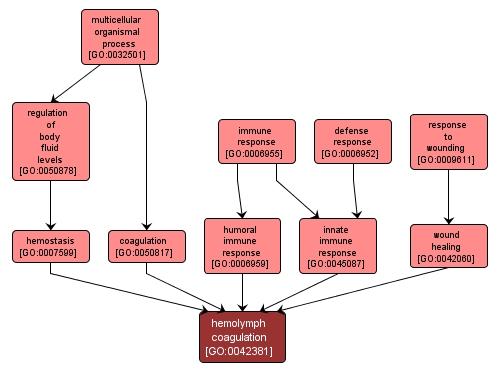 GO:0042381 - hemolymph coagulation (interactive image map)