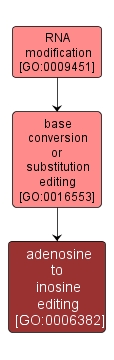 GO:0006382 - adenosine to inosine editing (interactive image map)