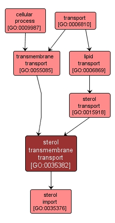 GO:0035382 - sterol transmembrane transport (interactive image map)