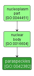 GO:0042382 - paraspeckles (interactive image map)