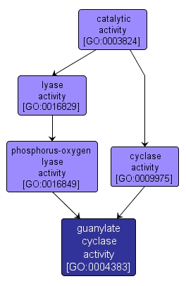 GO:0004383 - guanylate cyclase activity (interactive image map)