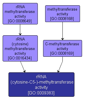 GO:0009383 - rRNA (cytosine-C5-)-methyltransferase activity (interactive image map)