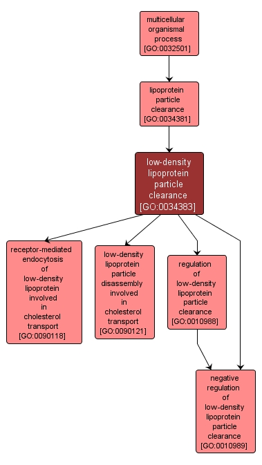 GO:0034383 - low-density lipoprotein particle clearance (interactive image map)