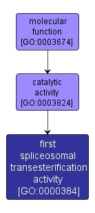 GO:0000384 - first spliceosomal transesterification activity (interactive image map)