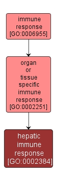 GO:0002384 - hepatic immune response (interactive image map)