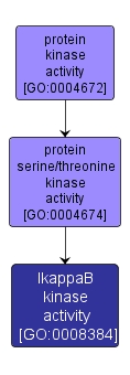 GO:0008384 - IkappaB kinase activity (interactive image map)