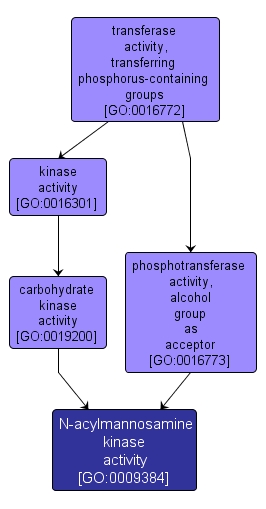 GO:0009384 - N-acylmannosamine kinase activity (interactive image map)