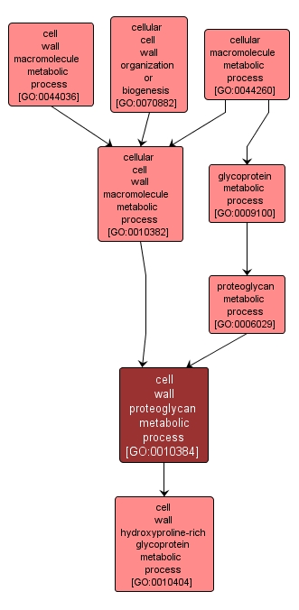 GO:0010384 - cell wall proteoglycan metabolic process (interactive image map)