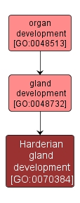 GO:0070384 - Harderian gland development (interactive image map)