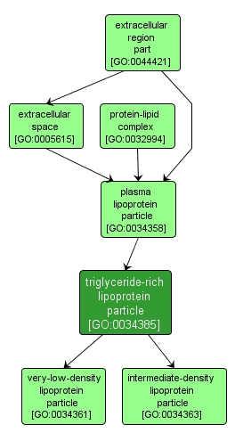 GO:0034385 - triglyceride-rich lipoprotein particle (interactive image map)