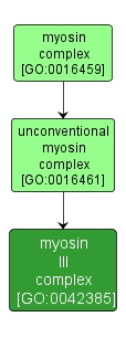 GO:0042385 - myosin III complex (interactive image map)