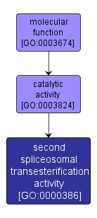 GO:0000386 - second spliceosomal transesterification activity (interactive image map)