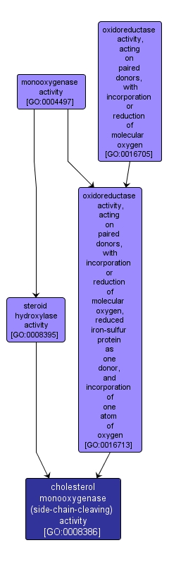 GO:0008386 - cholesterol monooxygenase (side-chain-cleaving) activity (interactive image map)