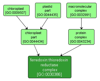 GO:0030386 - ferredoxin:thioredoxin reductase complex (interactive image map)