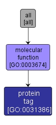 GO:0031386 - protein tag (interactive image map)