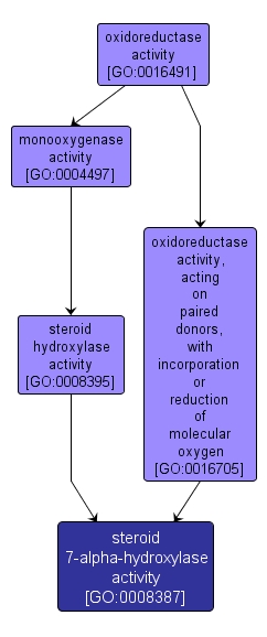 GO:0008387 - steroid 7-alpha-hydroxylase activity (interactive image map)