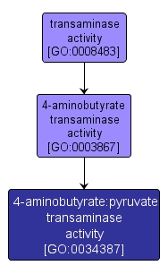 GO:0034387 - 4-aminobutyrate:pyruvate transaminase activity (interactive image map)