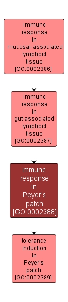 GO:0002388 - immune response in Peyer's patch (interactive image map)