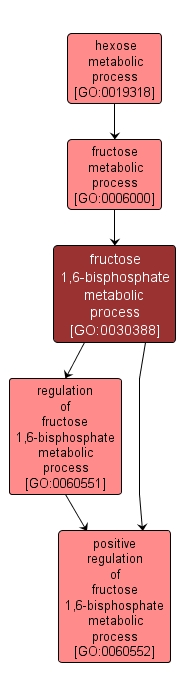 GO:0030388 - fructose 1,6-bisphosphate metabolic process (interactive image map)