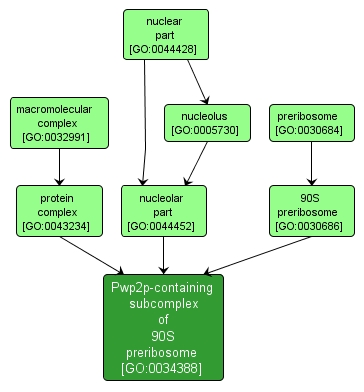 GO:0034388 - Pwp2p-containing subcomplex of 90S preribosome (interactive image map)
