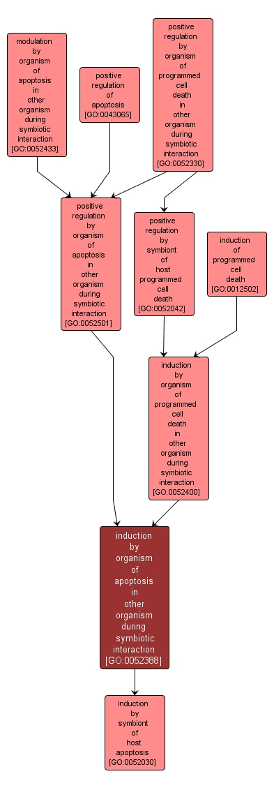 GO:0052388 - induction by organism of apoptosis in other organism during symbiotic interaction (interactive image map)