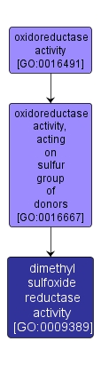 GO:0009389 - dimethyl sulfoxide reductase activity (interactive image map)