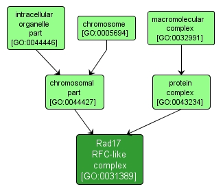 GO:0031389 - Rad17 RFC-like complex (interactive image map)