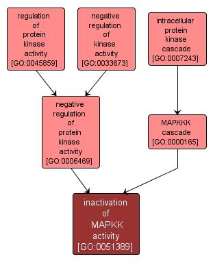 GO:0051389 - inactivation of MAPKK activity (interactive image map)