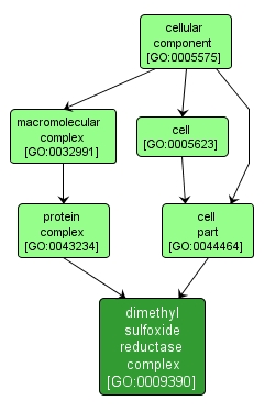 GO:0009390 - dimethyl sulfoxide reductase complex (interactive image map)