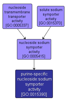 GO:0015390 - purine-specific nucleoside:sodium symporter activity (interactive image map)