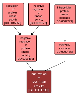 GO:0051390 - inactivation of MAPKKK activity (interactive image map)