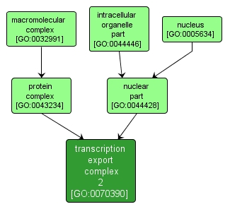 GO:0070390 - transcription export complex 2 (interactive image map)
