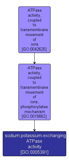 GO:0005391 - sodium:potassium-exchanging ATPase activity (interactive image map)